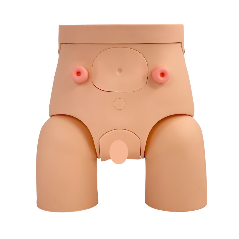 蓝蝶模型高级导尿模型教具