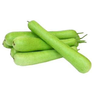 长瓠瓜秧苗苗瓠子瓜早熟高产耐热葫芦春秋蔬菜种子孑种籽蒲瓜瓜苗