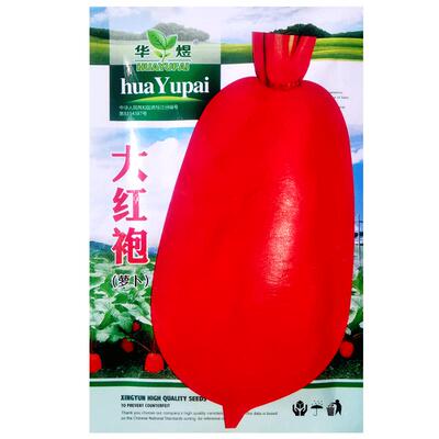 大红袍萝卜种子生吃红皮白肉萝卜