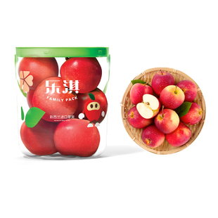 百果园店 新西兰进口小苹果火箭抱抱桶当季新鲜水果乐淇(Rockit)