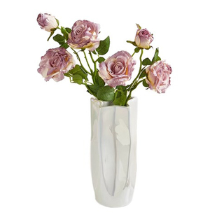 JOJO'S L. PD·Abstract·花瓶曲面轻奢陶瓷插花装饰创意 | 抽象