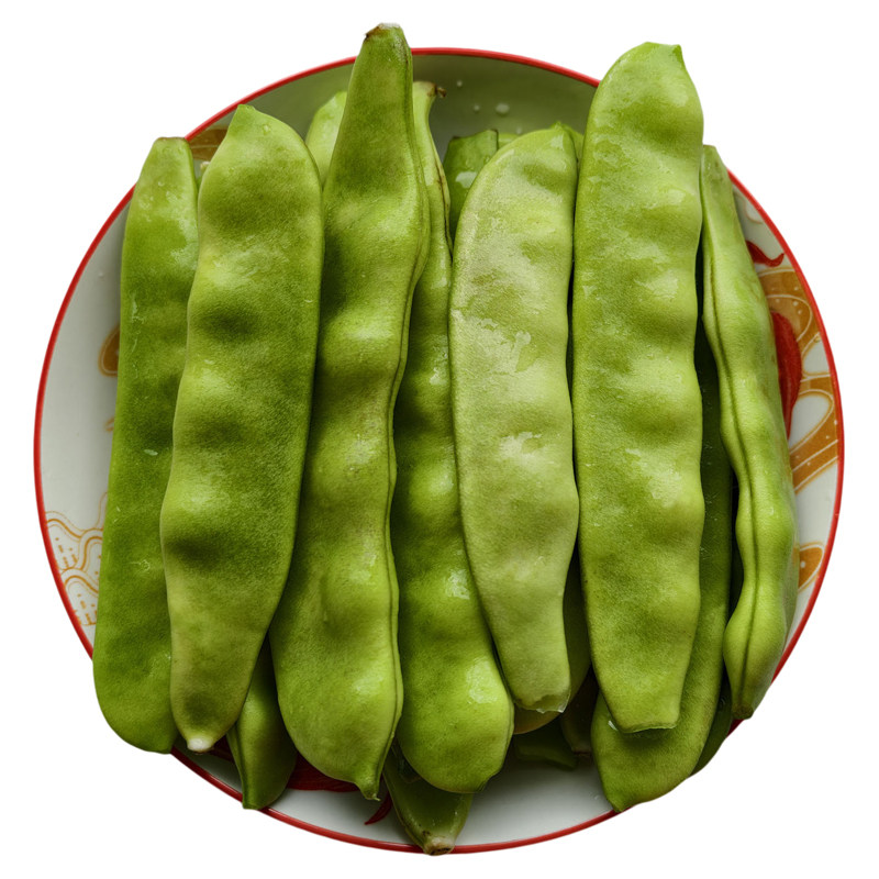 东北油豆角现摘新鲜蔬菜5斤正宗超嫩大油豆农家自种特产美食无筋