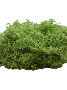 仿真苔藓草皮仿生人造假青苔