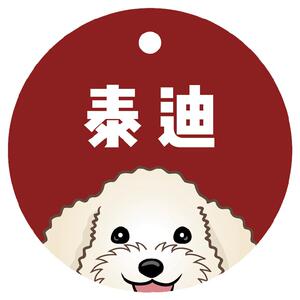 新款身份泰迪防吊牌宠物通用项圈