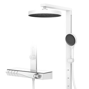 瑞尔特钢琴键淋浴花洒套装按摩背喷置物台家用卫生间淋浴器k31P