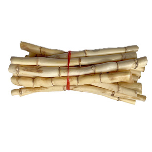 新鲜芦根野芦苇根鲜现挖苇子根凉茶食材另售有白茅根竹蔗芦根包邮