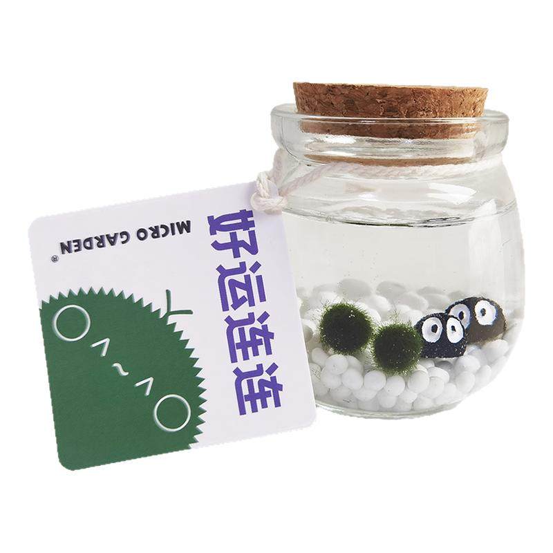 MICROGARDEN桌面生态瓶迷你植物