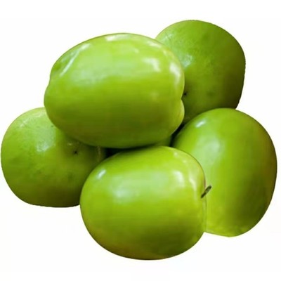 礼盒装牛奶青枣果园直销脆甜多汁