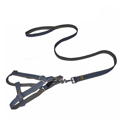 大型链子背带专用项圈狗狗牵引绳
