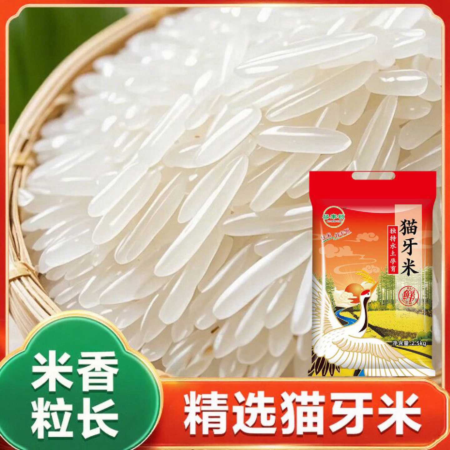 5斤新米超长粒正宗猫牙米南方晚稻长粒香大米250g煲仔饭农家晚稻