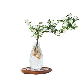 六月雪水培植物小盆栽室内好养四季常青办公室桌面绿植好养活花卉