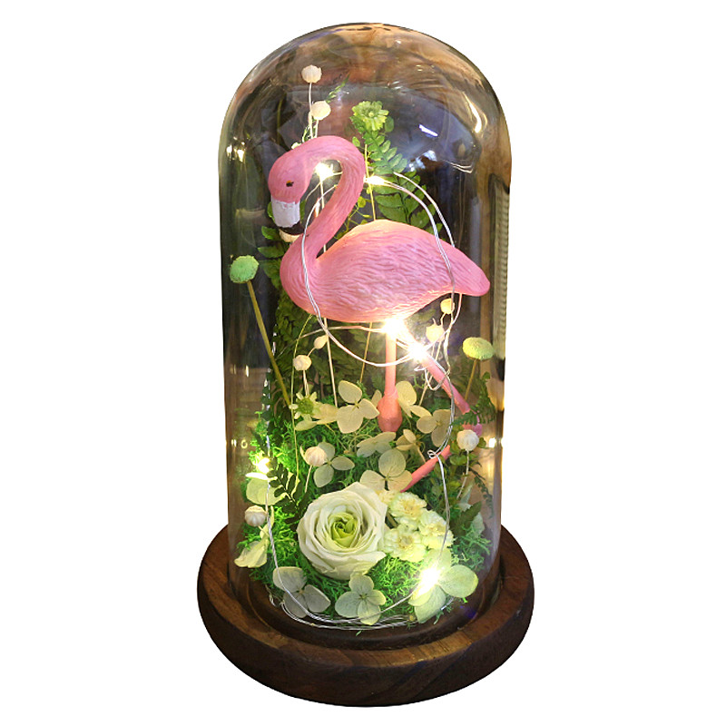 永生花diy包邮usb发光丛林中
