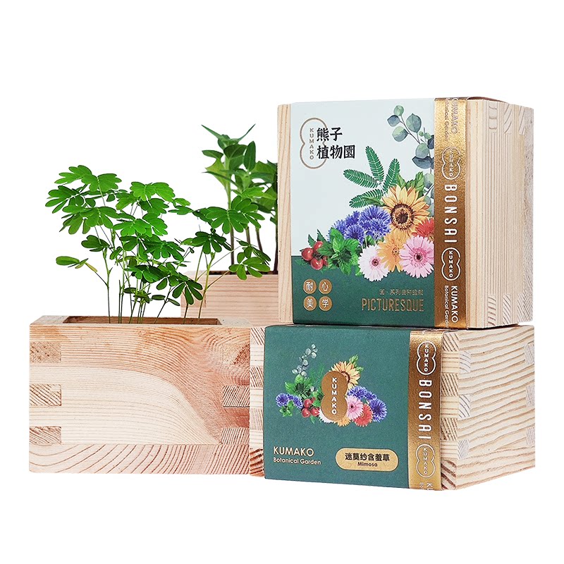 熊子植物园植物种子薄荷盆栽罐头桌面小花农番茄樱花迷你礼物diy