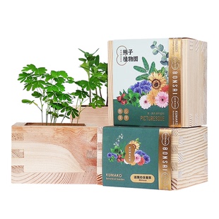 熊子植物园植物种子薄荷盆栽罐头桌面小花农番茄樱花迷你礼物diy