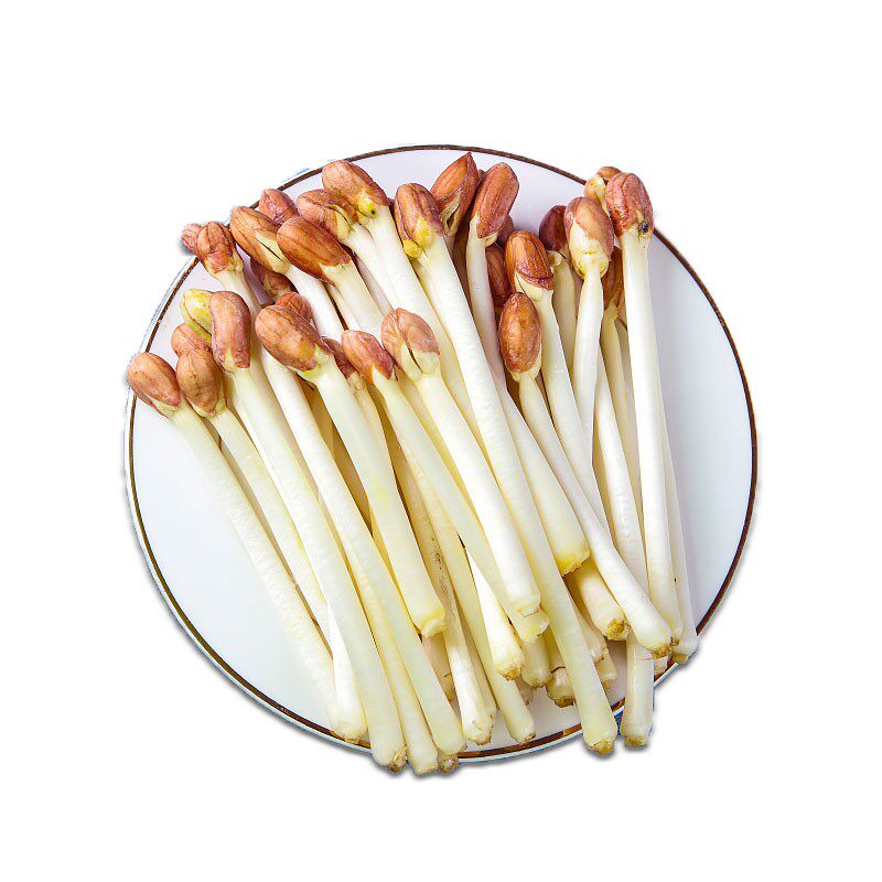 【千牛优福】新鲜花生芽500g/盒食用花生苗蔬菜芽苗长寿芽烫火锅