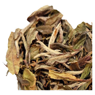 南山牧云老白茶2012抛荒白牡丹花蜜香高山荒野老树白茶5g散装茶叶