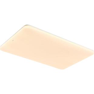 26新欧普LED吸顶灯具客厅卧室灯智慧光护眼自建房加大加亮熙月TC