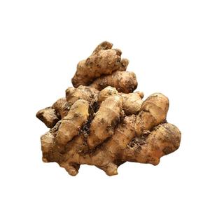山东大姜优质生姜老姜新鲜大黄姜精品带泥生姜块老生姜老黄姜包邮