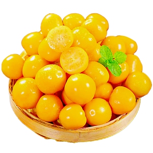 当季新鲜精品东北姑娘果应罕见水果黄洋红花菇娘果特大果整箱批发