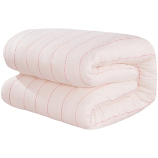 新疆一级长绒棉被春秋被加厚冬被保暖被可定做纯棉花被芯儿童被芯