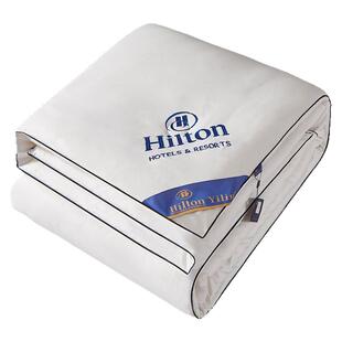 出口希尔顿酒店羽绒被95白鹅绒春秋被加厚保暖被芯大小姐蚕丝被子