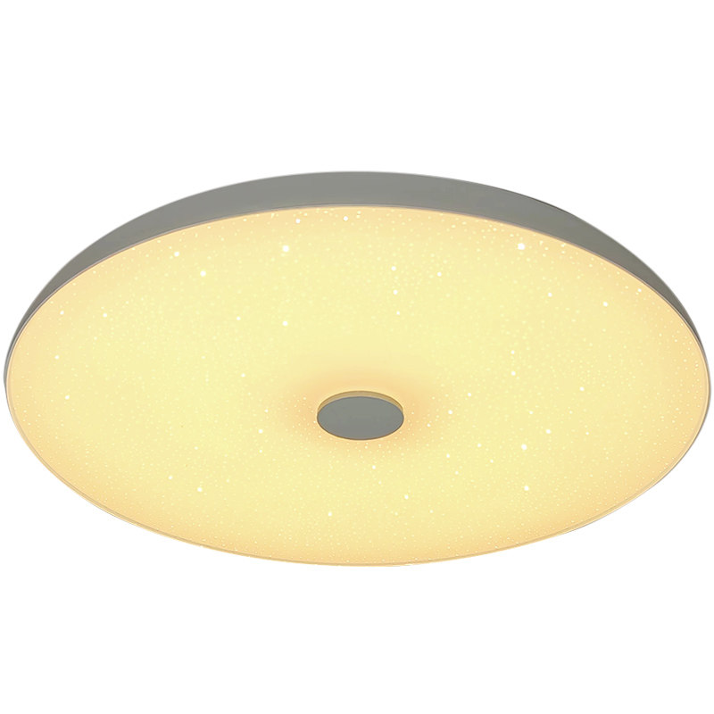 蓝牙音乐吸顶灯LED现代简约客厅灯手机APP控制星点卧室灯220V110V