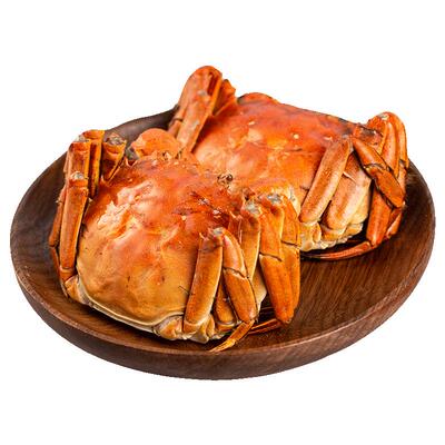 囍从蟹来大闸蟹提货券礼盒758