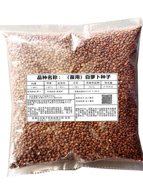 白萝卜种子芽苗菜 板叶花叶短叶十三简装1斤包邮土培水培蔬菜种孓