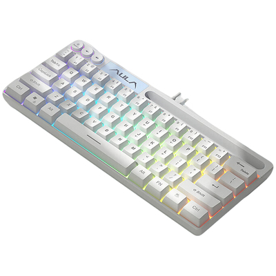 狼蛛F3061机械手感键盘61键迷你有线小键盘RGB台式电脑笔记本游戏