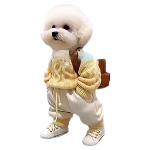 新品创意小狗人背包挂件亚克力平面汽车挂件可爱泰迪狗钥匙扣吊坠