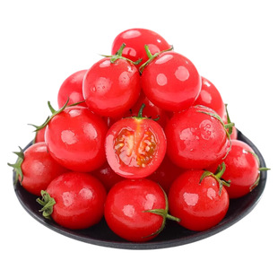 顺丰包邮新鲜圣女果小番茄酸甜爆汁小西红柿露天种植时令蔬菜水果