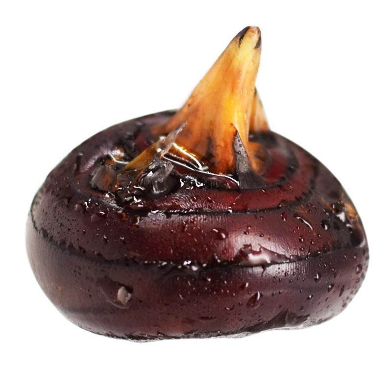 新鲜马蹄荸荠5斤 现挖特大果荸荠地梨地栗 应季当季水果时令整箱