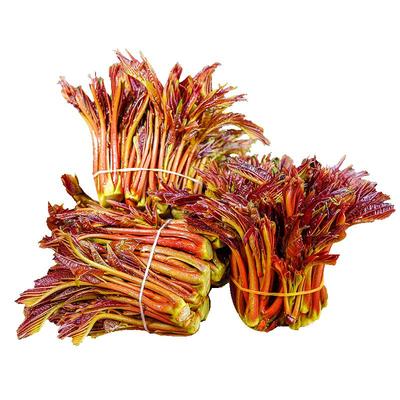 现摘香椿新鲜香椿芽四川当季蔬菜野生春芽春季椿芽鲜香嫩芽香椿头