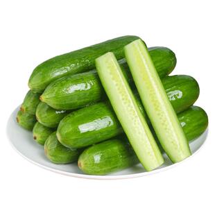 水果黄瓜新鲜生吃当季整箱5小青瓜斤时令蔬菜白玉女即食10包邮旱
