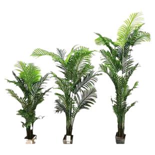 仿真北欧绿植树大型落地假植物盆栽摆件凤凰葵散尾葵室内户外装饰