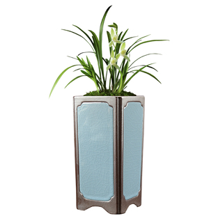 兰花专用紫砂花盆陶瓷家用室内桌面古典小榕树造景盆紫檀清香木盆