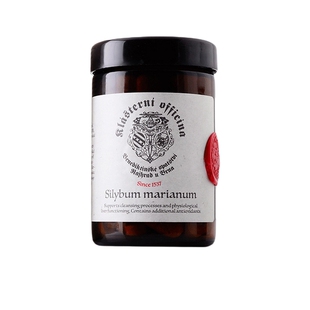 捷克克拉斯特健肝锭98%水飞蓟奶蓟草肝脏养护补净片熬夜解酒肝腚