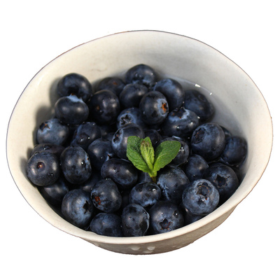 花香蓝莓L25大果18mm+