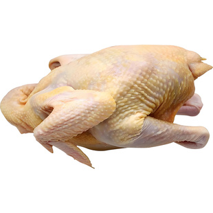 湖南老品种土鸡农家散养走地鸡农村正宗土鸡纯土鸡新鲜现杀老母鸡