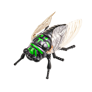 发条昆虫儿童爬行知了玩具模型蝉仿真金龟子上链条甲壳虫七星瓢虫