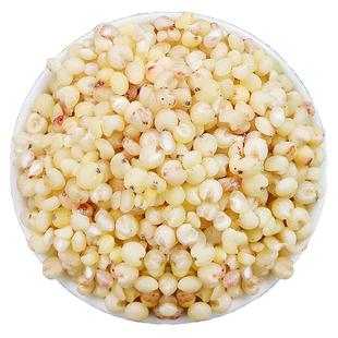 白粘糯纯高粱米新米糯米食用五谷杂粮红粘黏去皮粘糯高粱米老品种