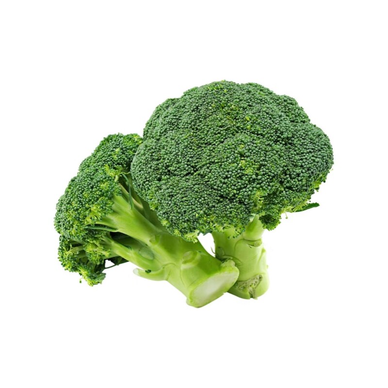 西兰花秧苗花菜苗牛心紫甘蓝秧苗蔬菜苗包菜苗秋冬阳台盆栽种子苗