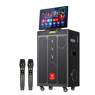 先飞广场舞音响带显示屏功放点歌一体机家用KTV机户外唱歌K歌音箱