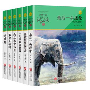 沈石溪动物小说升级版共6册 沈石溪品藏书籍系 最后一头战象/第七条猎狗/再被狐狸骗一次/和乌鸦做邻居/一只猎雕的遭遇/保姆蟒