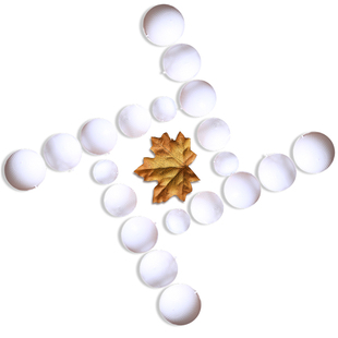 中药丸包装加厚塑料空药丸壳盒蜡丸蜜丸壳3克6克9克药丸壳球包邮