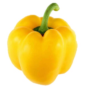 寿光蔬菜种子黄菲特黄色甜椒彩椒高产籽种辣椒菜椒种籽菜孑南方种