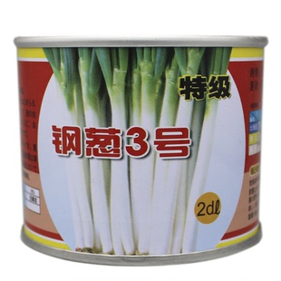 日本铁杆大葱种子 钢葱 大葱子种子免邮 高产量 耐寒耐热包邮四季