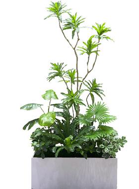 wo+仿真植物花箱组合隔断装饰