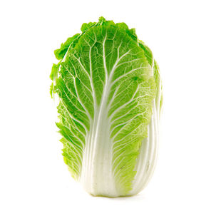 开锅烂火锅白菜种子 结球紧实高产抗病好吃好卖 特好吃夏秋季播种