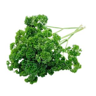 新鲜荷兰芹250g 法国香菜欧芹西洋芹 西餐蔬菜火锅摆盘装饰用材料